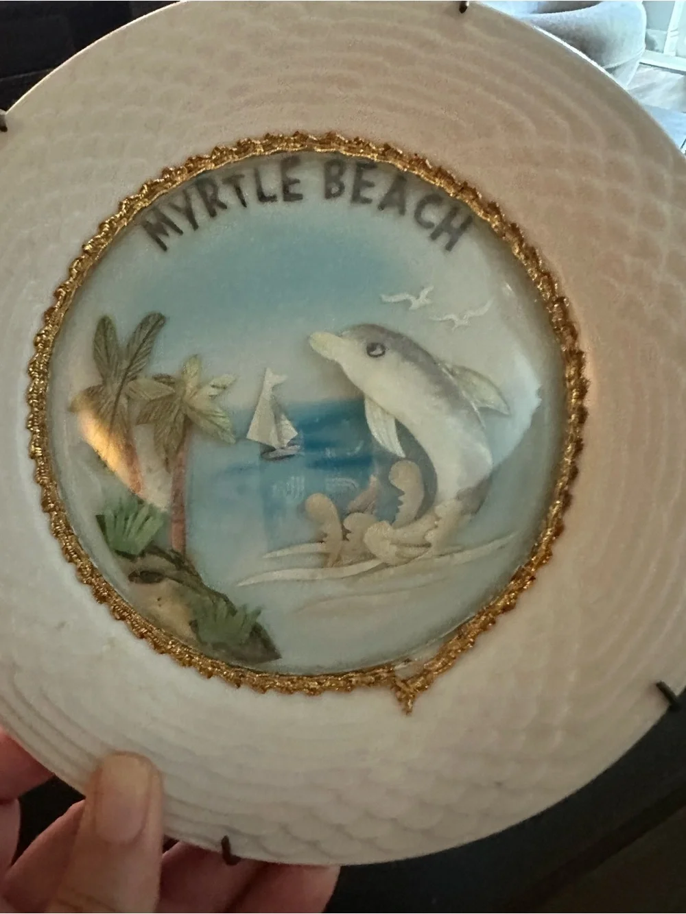 Myrtle Beach decorative myrtle